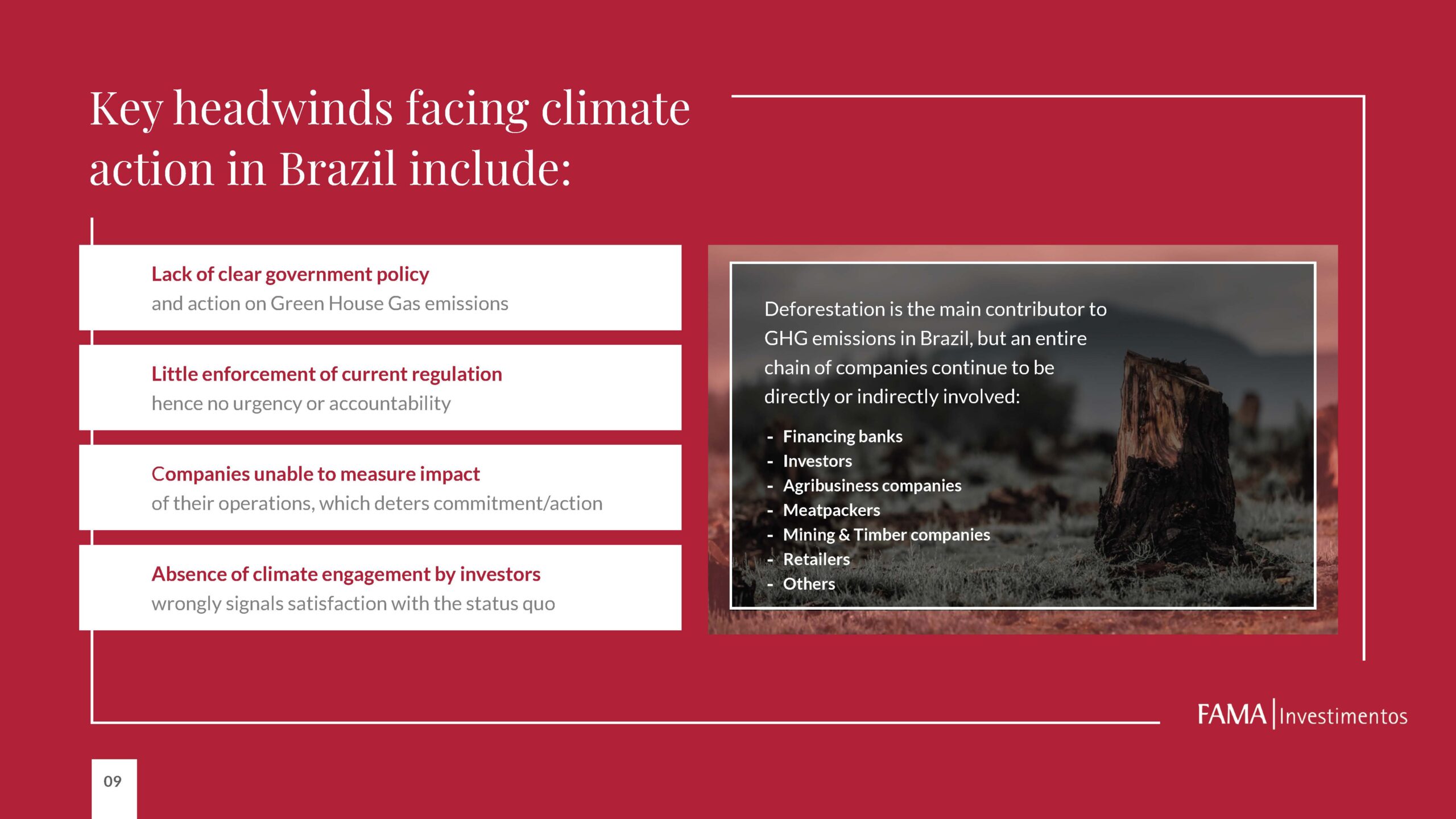 Fama Investimentos Investor Deck Design Slide 5