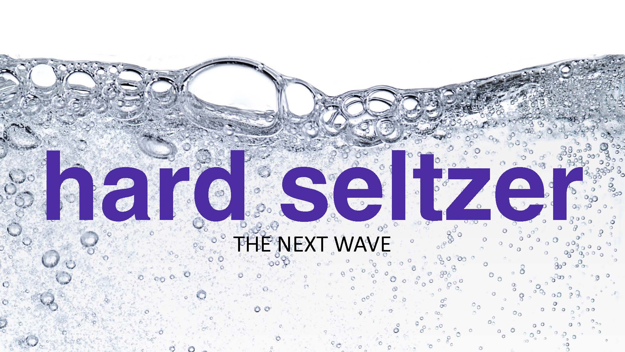 Hard Seltzer Investor Deck Slide 1