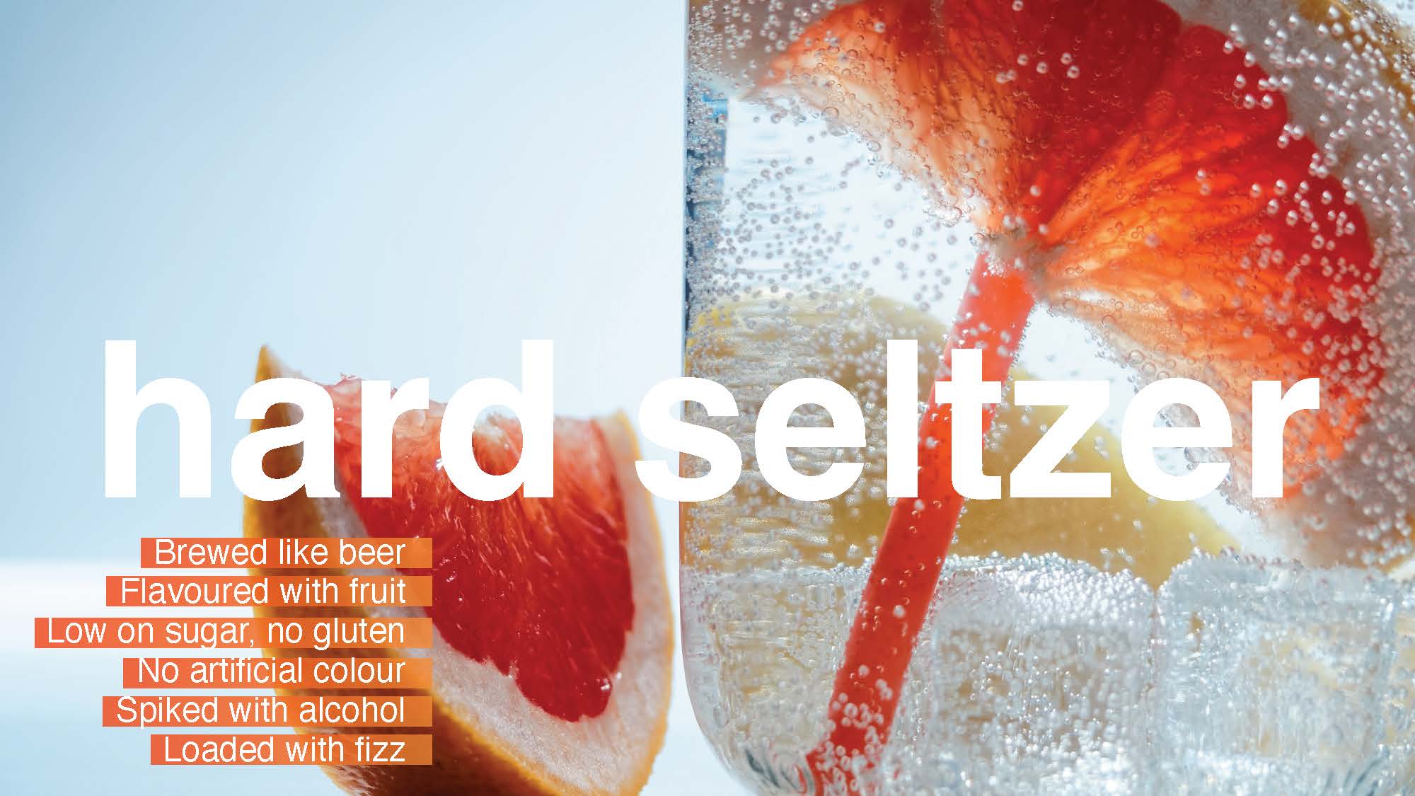 Hard Seltzer Investor Deck Slide 2